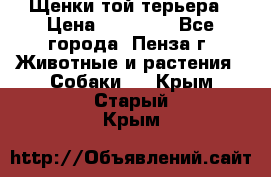 Щенки той терьера › Цена ­ 10 000 - Все города, Пенза г. Животные и растения » Собаки   . Крым,Старый Крым